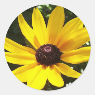 Sticker Rond Jaune