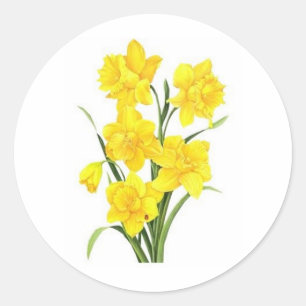 Sticker Rond Jaune