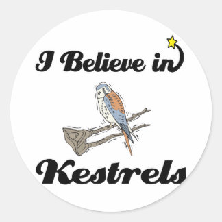 Sticker Rond je crois aux crécerelles
