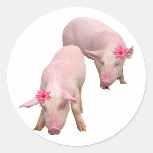 Sticker Rond Je suis magnifique (Devant)