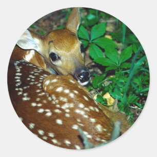 Sticker Rond Jeune Foi