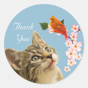 Sticker Rond Joli chat tigré, fleurs et petit oiseau Merci