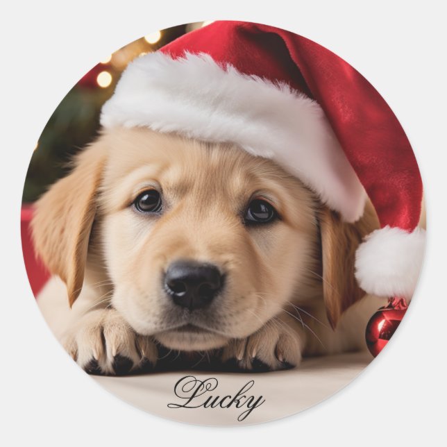 Sticker Rond Joli chiot. Chiot de Noël Retriever (Devant)