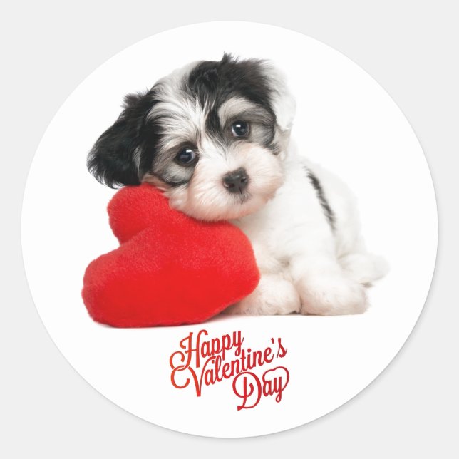 Sticker Rond Joli chiot Heureuse Sainte-Valentin (Devant)