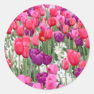 Sticker Rond Joli en Pétales Roses