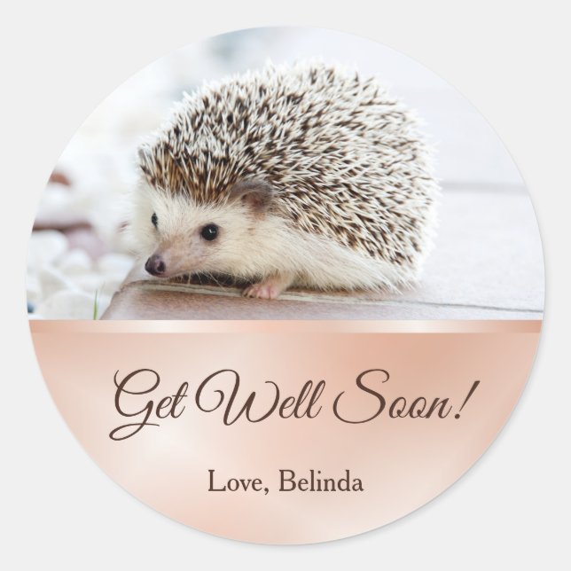 Sticker Rond Joli Hérisson Rose Gold Se tirer bien (Devant)