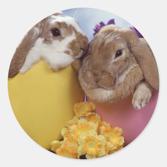Sticker Rond Joli lapin de Pâques à l'intérieur des oeufs (Devant)