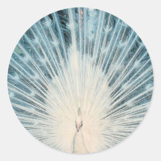 Sticker Rond Joli paon blanc