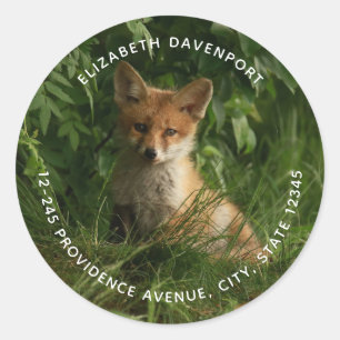 Sticker Rond Joli renard de bébé dans une forêt verte Adresse