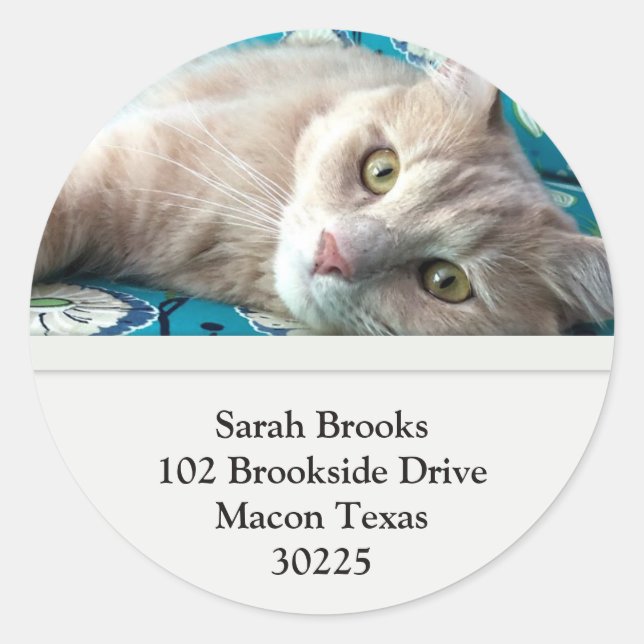 Sticker Rond Jolie Kitty (Devant)