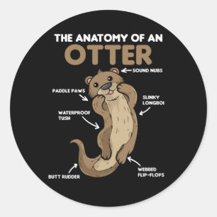 Sticker Rond Jolie Otter Explication Anatomie D'Une Otter