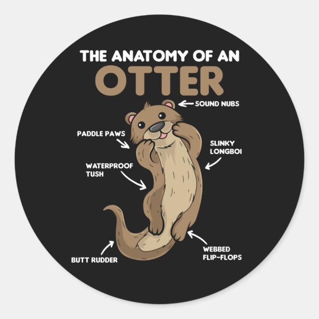 Sticker Rond Jolie Otter Explication Anatomie D'Une Otter (Devant)