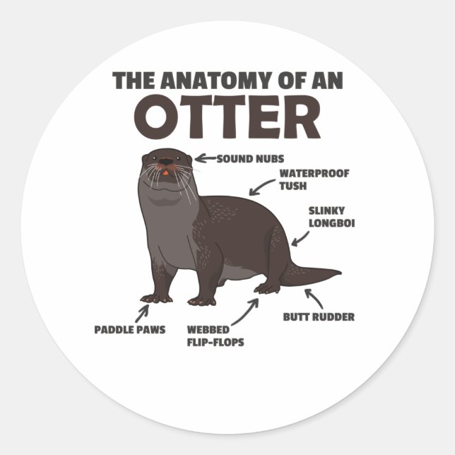 Sticker Rond Jolie Otter Explication Anatomie D'Une Otter (Devant)
