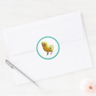 Sticker Rond Jolie Parakeet Jaune Amical Animaux de compagnie P