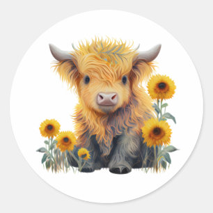 Sticker Rond Jolie vache Highland Tournesol jaune