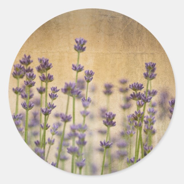 Sticker Rond Jolies fleurs de lavande (Devant)