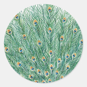 Sticker Rond Jolies plumes de paon