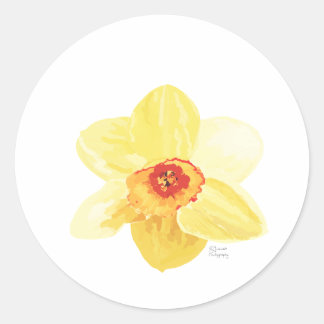 Sticker Rond jonquille de fleur Żonkila