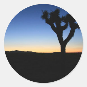 Sticker Rond Joshua Arbre Silhouetté