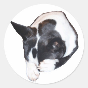 Sticker Rond Joueur de pipeau - dormant