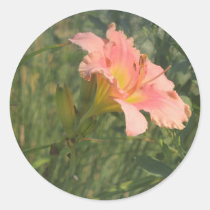 Sticker Rond Jour dans le soleil