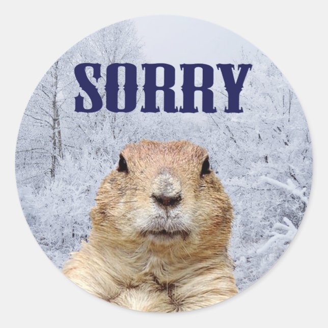 Sticker Rond Jour de marmotte Désolés (Devant)