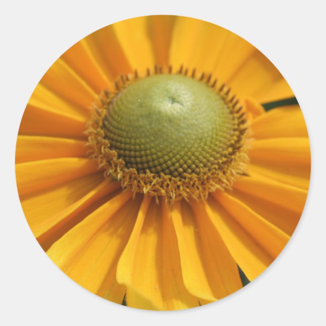 Sticker Rond Jour ensoleillé (Devant)