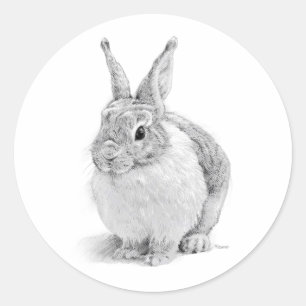Sticker Rond Journée du lapin