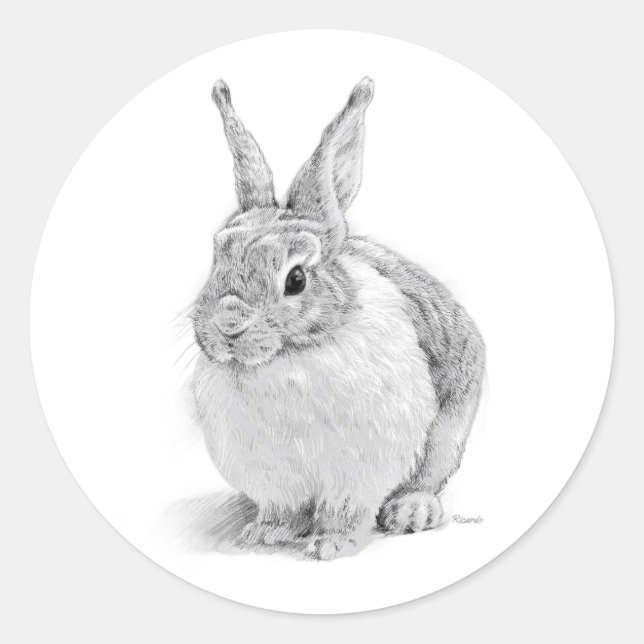 Sticker Rond Journée du lapin (Devant)
