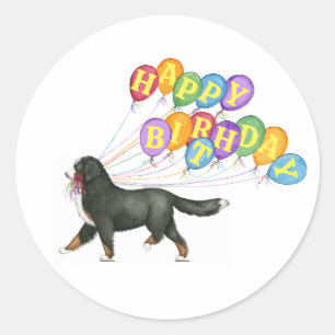 Sticker Rond Joyeux anniversaire Bernese Mountain Dog