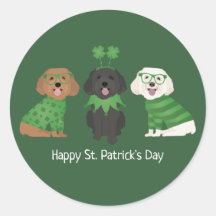 Joyeux Chiens de Maltipoo Jour de la Saint Patrick