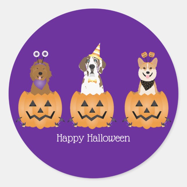 Sticker Rond Joyeux Chiens D'Halloween En Citrouille (Devant)