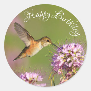 Sticker Rond Joyeux Fleurs sauvages de colibri d'anniversaire