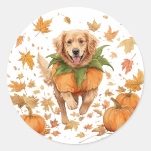Sticker Rond Joyeux Halloween Golden Retriever Automne Citrouil