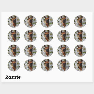 Sticker Rond Joyeux Jeune Alpaga Brown En Fleurs,