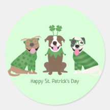 Joyeux Jour de la Saint Patrick Pit Bull Dogs