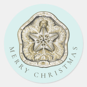 Sticker Rond Joyeux Noël Dollar de sable Turquoise Côte