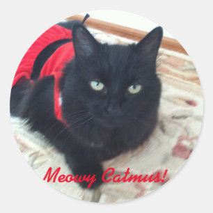 Sticker Rond Joyeux Noël - Meowy Catmus ! comporter fumeux
