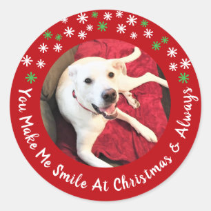 Sticker Rond Joyeux Noël Smiling Chien Photo Funny Red Circle