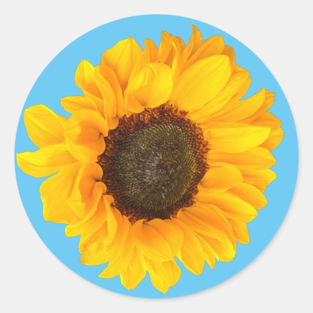Sticker Rond Joyeux tournesol (Devant)