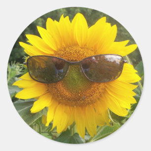 Sticker Rond Joyeux tournesol avec collant de lunettes de solei