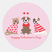 Joyeux Valentines Day American Pit Bull Terriers