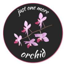 Juste Une Orchidée De Plus