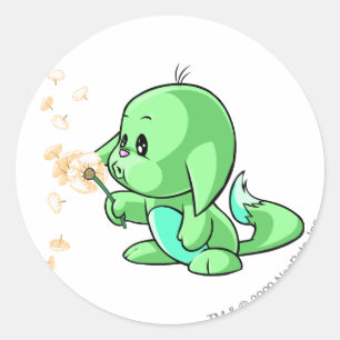 Sticker Rond Kacheek Green