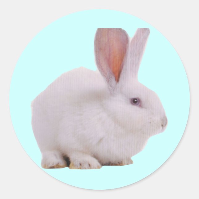 Sticker Rond Kawaii Cute Bunny (Devant)
