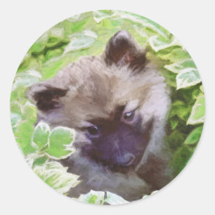 Sticker Rond Keeshond Puppy in the Garden Peinture Art original