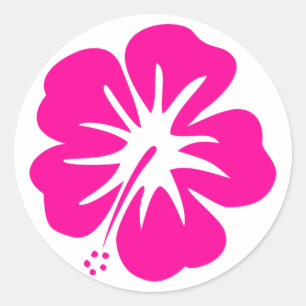 Sticker Rond Ketmie de roses indien