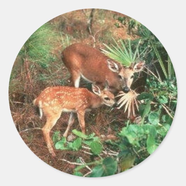 Sticker Rond Key Deer (Devant)