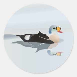 Sticker Rond King Eider Duck