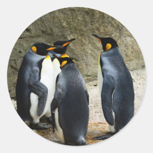 Sticker Rond King Penguin